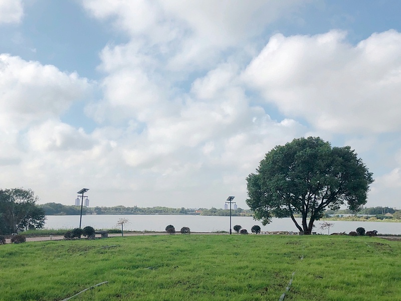 美好的環境 共同的家園