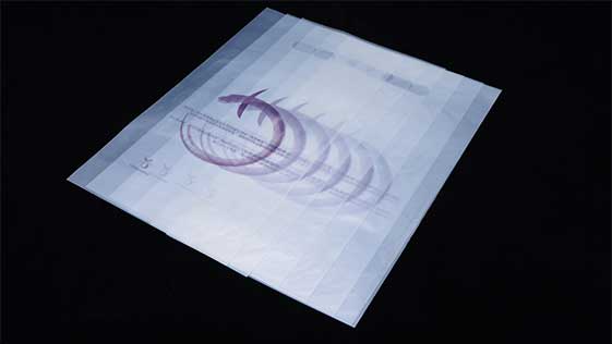 雙11來臨，生（shēng）物降解袋助力綠色包裝