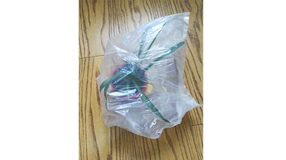 生物降解袋（dài）家中植物保護神